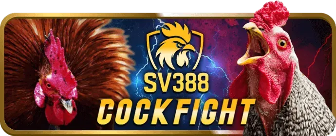 Các tính năng bảo mật tài khoản 3333win code